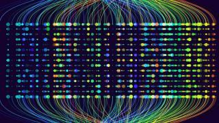 Programa Fundamentos.