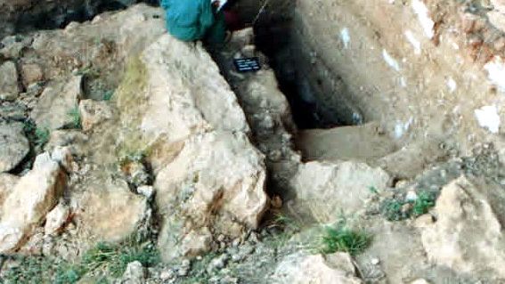 Yacimiento de Los Enebrales. Foto: Universidad de Burgos