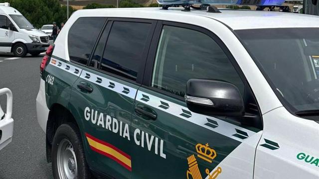 Detenido por agredir a su expareja y matar a golpes al perro de ambos.