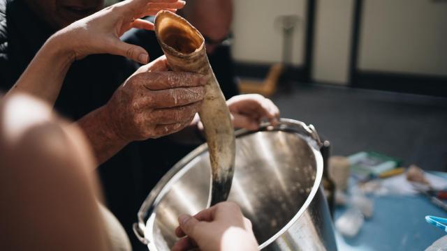 El famoso cuerno de vaca de la viticultura biodinámica