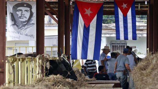 XXV edición de la Feria Internacional Agroindustrial Alimentaria en Cuba.