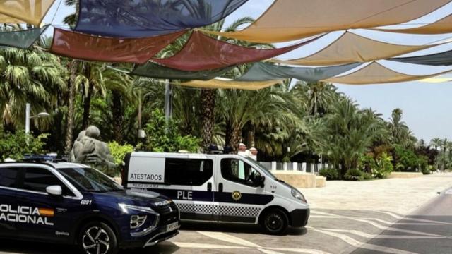 Vehículos de la Policía Local de Elche.