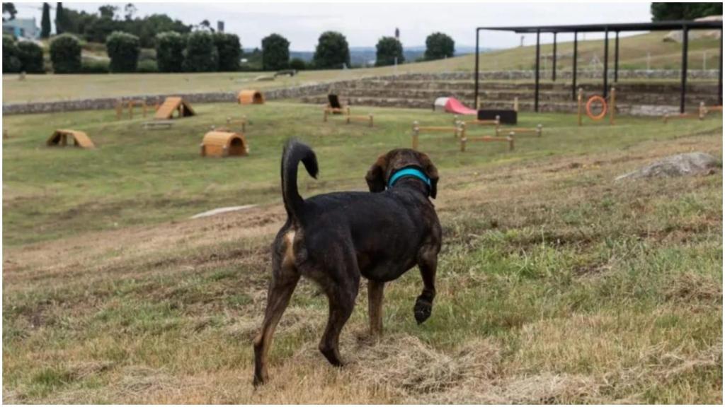 Área canina del Parque de Bens, en A Coruña