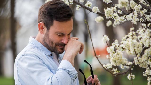 Imagen de un hombre limpiándose la nariz debido a la alergia