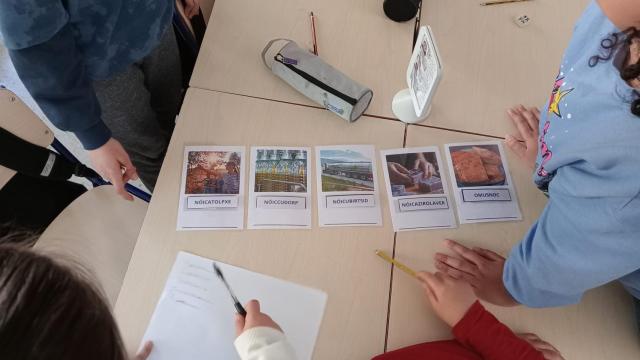 Más de 7.000 alumnos de Infantil a Secundaria se forman en educación ambiental con 'Alicante Educa'