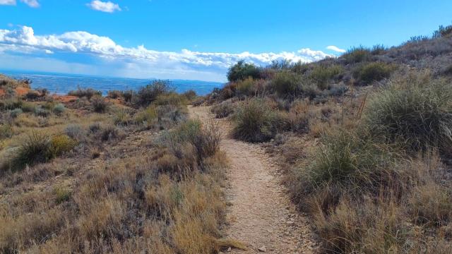Uno de los tramos por los entornos de la Sierra de Crevillente.