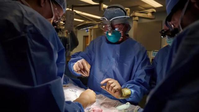 Intervención quirúrgica de un paciente.