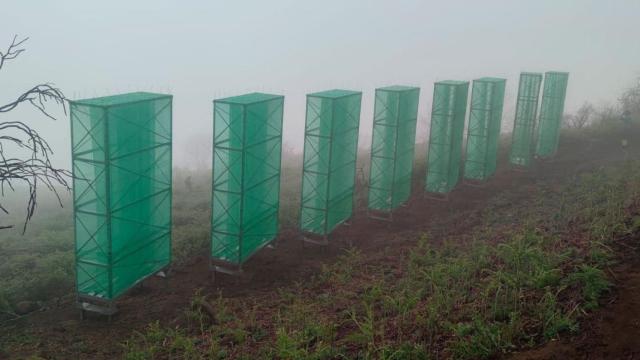 Captador de agua de niebla en Canarias.