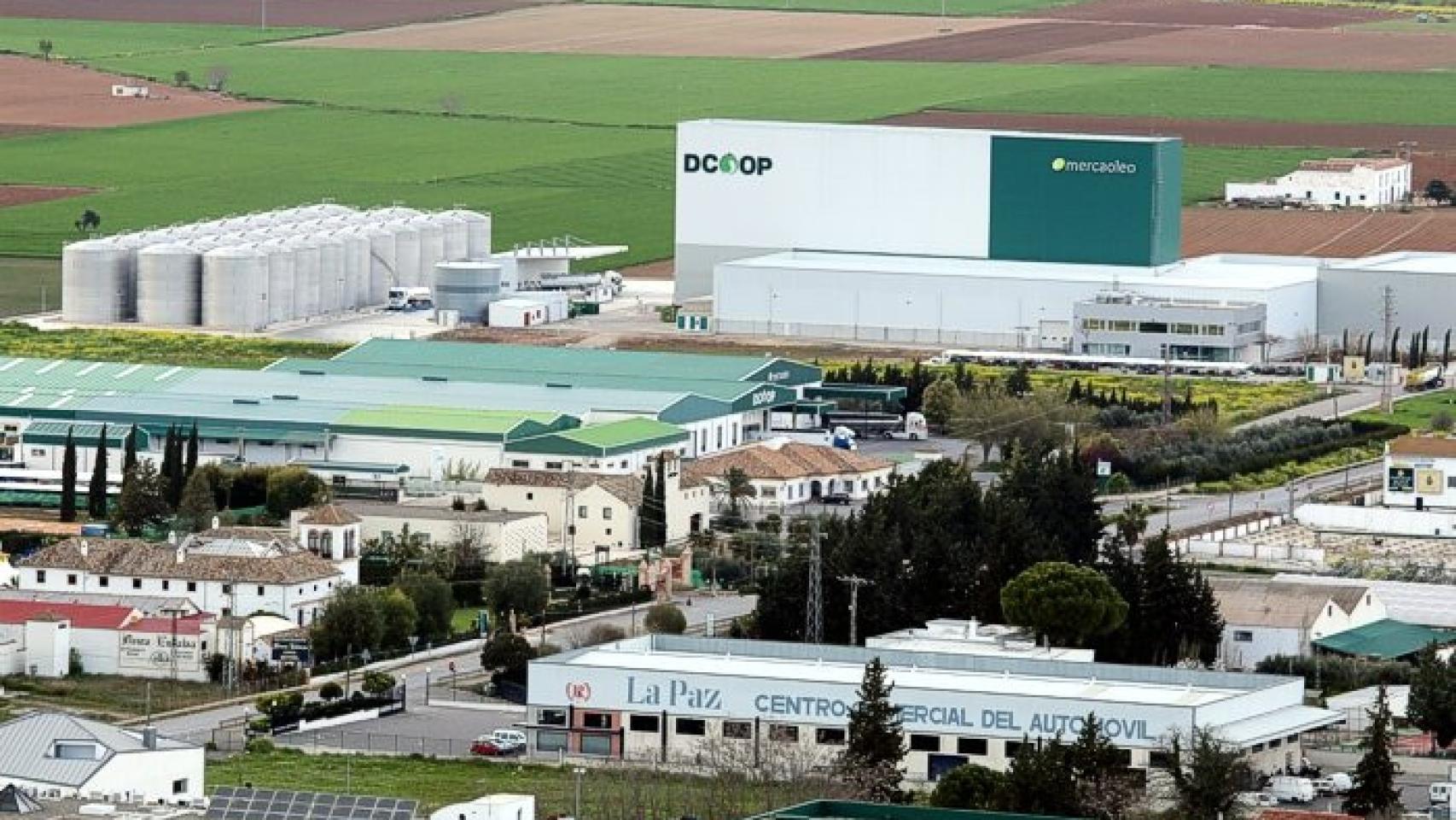 Sede Dcoop.