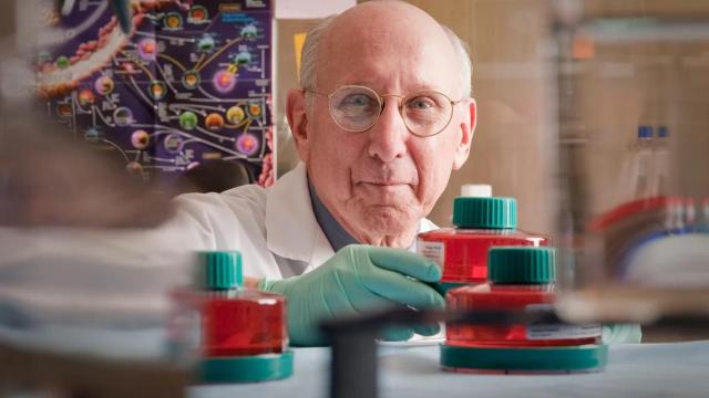 El cirujano norteamericano Steven Rosenberg, uno de los firmes candidatos al Nobel.