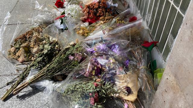 Flores en la entrada de la facultad de Geografía e Historia de la Complutense.