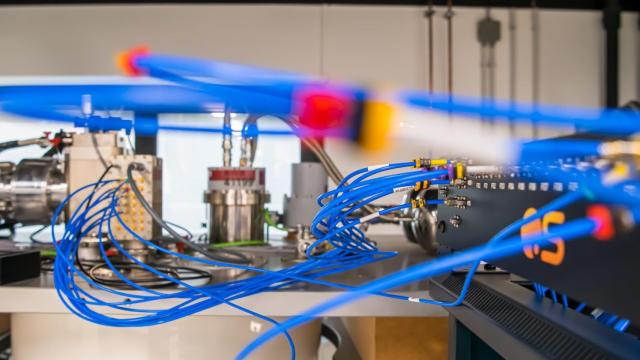 Una de las pruebas de diagnóstico personalizada, con las que Orange QS busca el 'kitmon'.