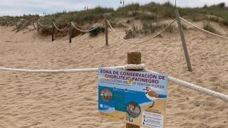 El nuevo balizado de más de 400 metros de largo para la protección del ave.