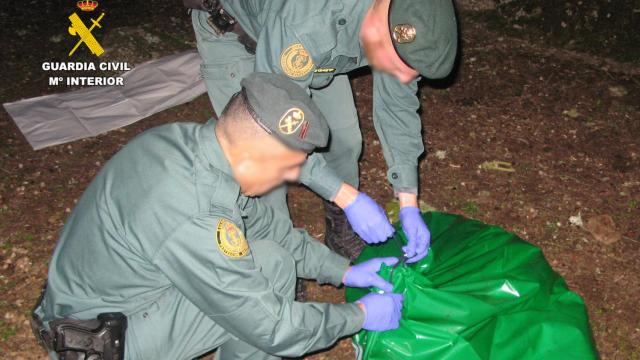 Agentes del Seprona durante la actuación