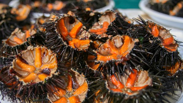 El alimento típico de Asturias que es rico en proteínas: ideal para disfrutar en el mes de marzo