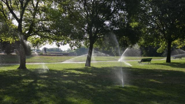 Riego automatizado en un parque de Pamplona.