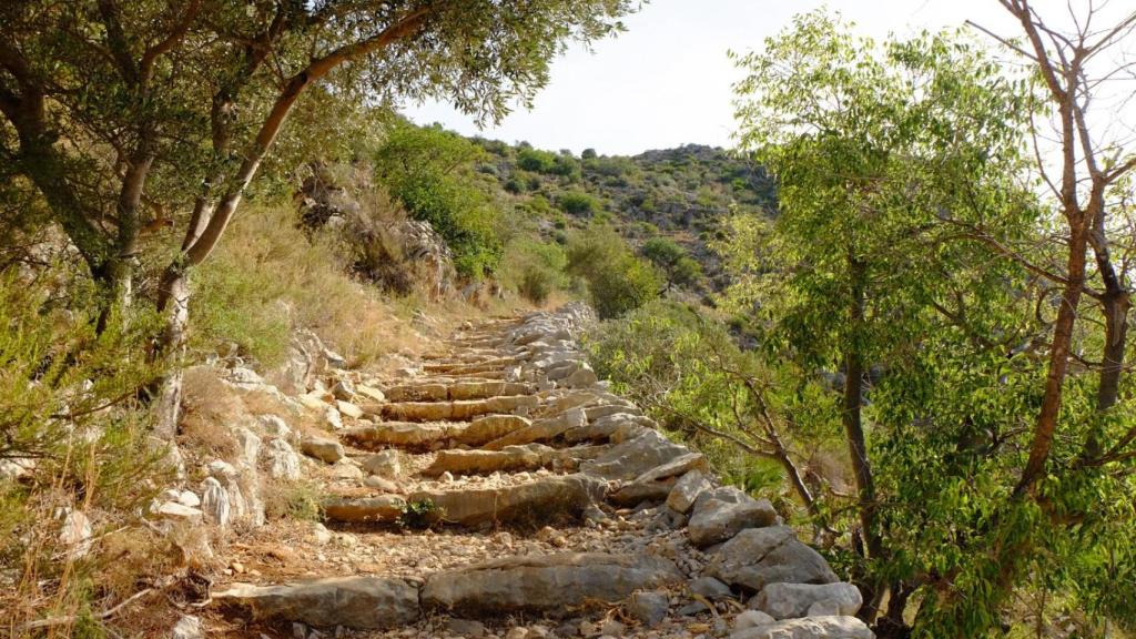 Algunos de los más de 6.800 escalones que conforman el sendero del Barranco del Infierno.