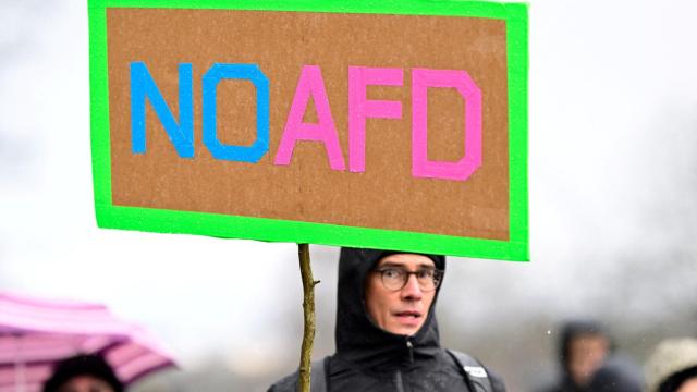 Manifestación contra el partido de ultraderecha alemán AfD.