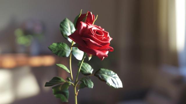 Evita que se marchiten, existen las rosas liofilizadas