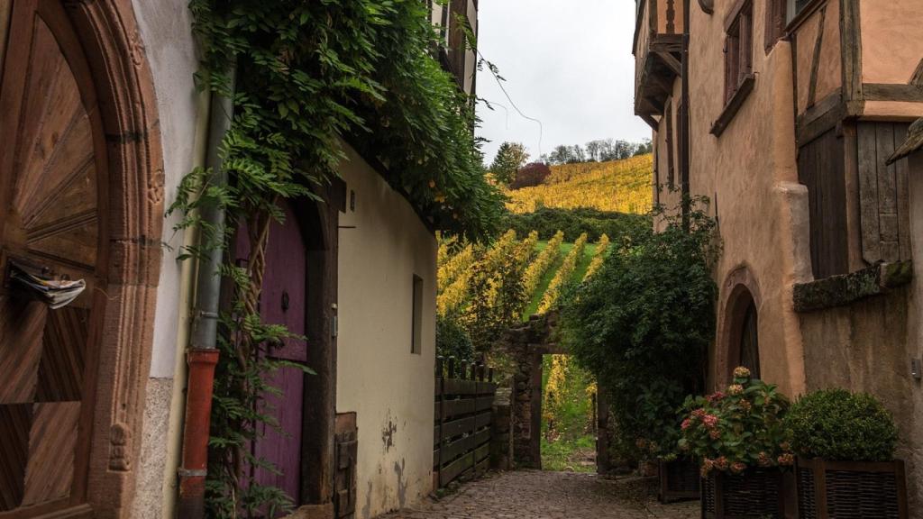 En Alsacia estuvo el campo de concentración de Natzweiler-Struthof.
