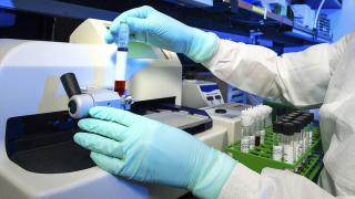 Investigación con orforglipron. Lilly.