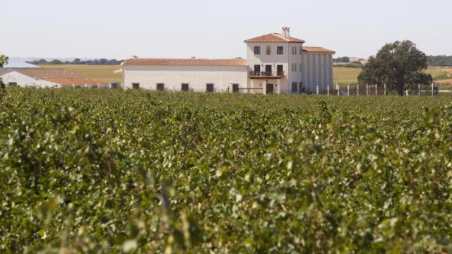 Cuatro buenas elaboraciones desde la casi desconocida Ribera del Júcar