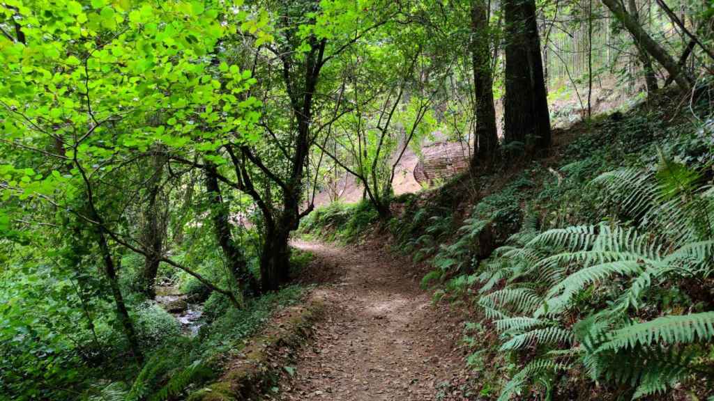 Senda del río Eifonso, Vigo