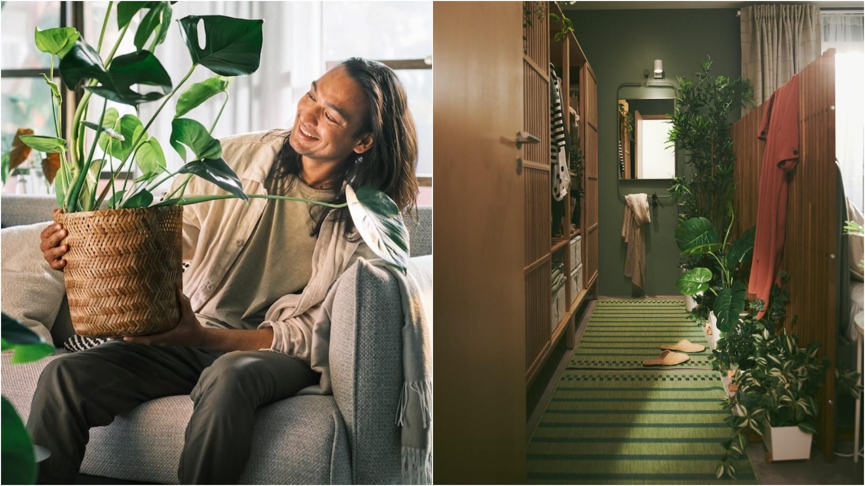 Imagen de plantas de decoración de Ikea.