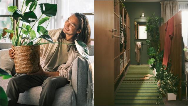 Imagen de plantas de decoración de Ikea.