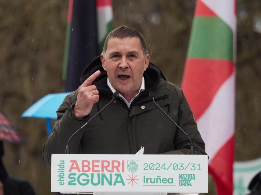 Arnaldo Otegi en un acto de Bildu.