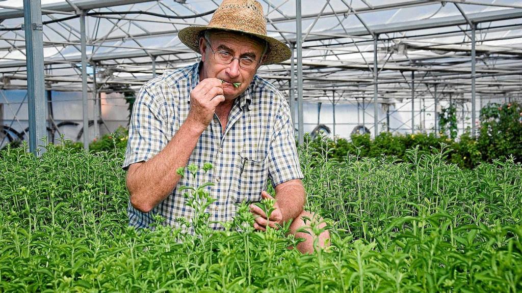 El agricultor catalán Josep Pàmies fue condenado a pagar una multa millonaria por aconsejar 'lejía' para el autismo.