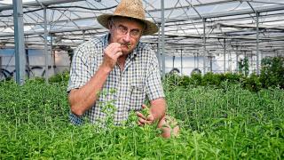 El agricultor Josep Pàmies.