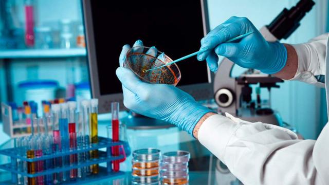 Olvídate del bótox: la inmunoterapia será el nuevo anti-aging
