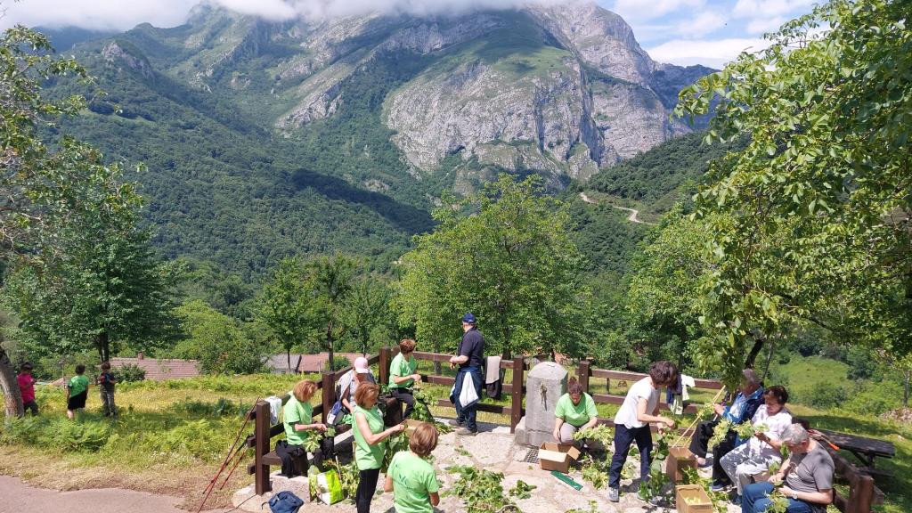 Voluntariado ambiental en Castilla y León