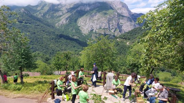 Voluntariado ambiental en Castilla y León