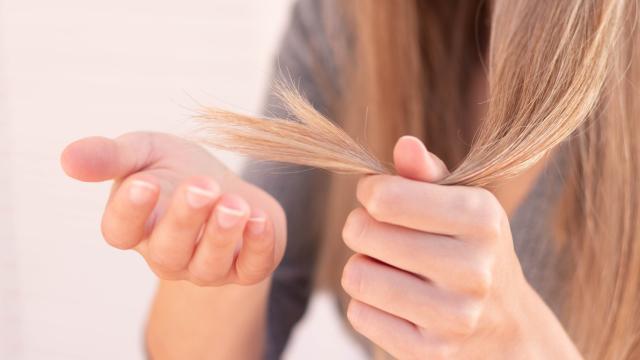 Adiós al pelo seco: el aceite casero con una fruta muy consumida en España que regenera y nutre la melena