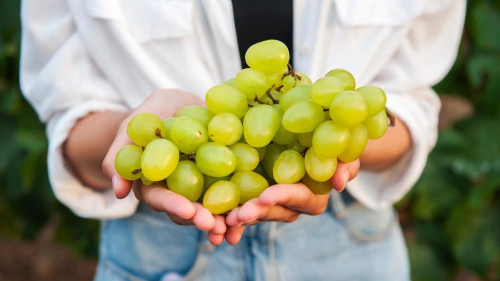 Uva blanca: una de las mejores aliadas en la prevención de cataratas.