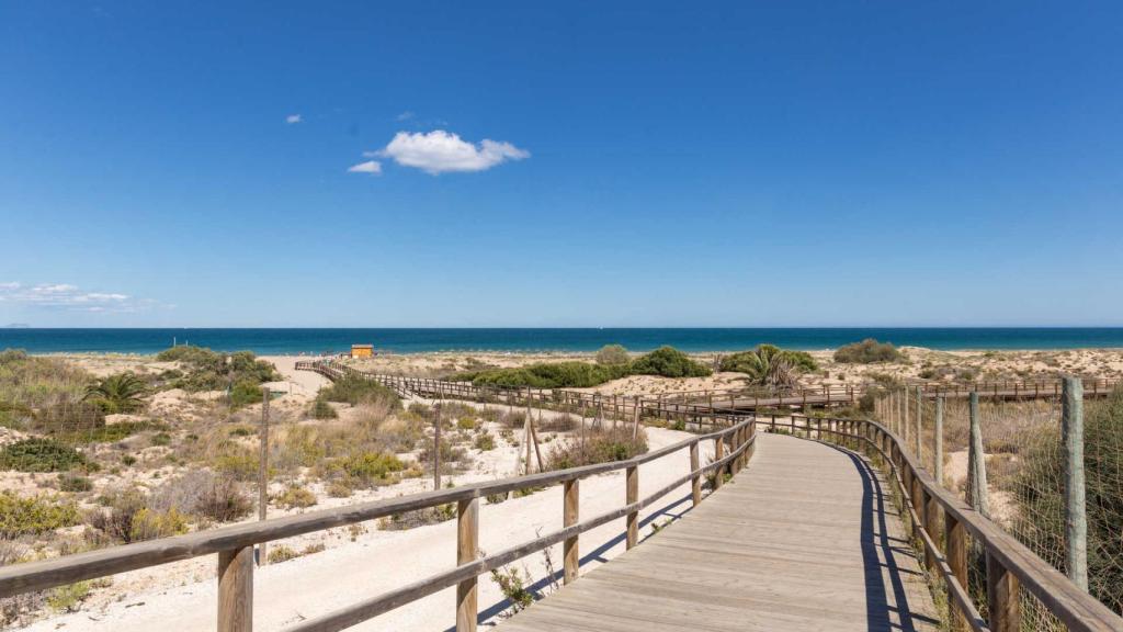 El incendio se ha originado en una de las pinadas de la Playa el Carabassí.