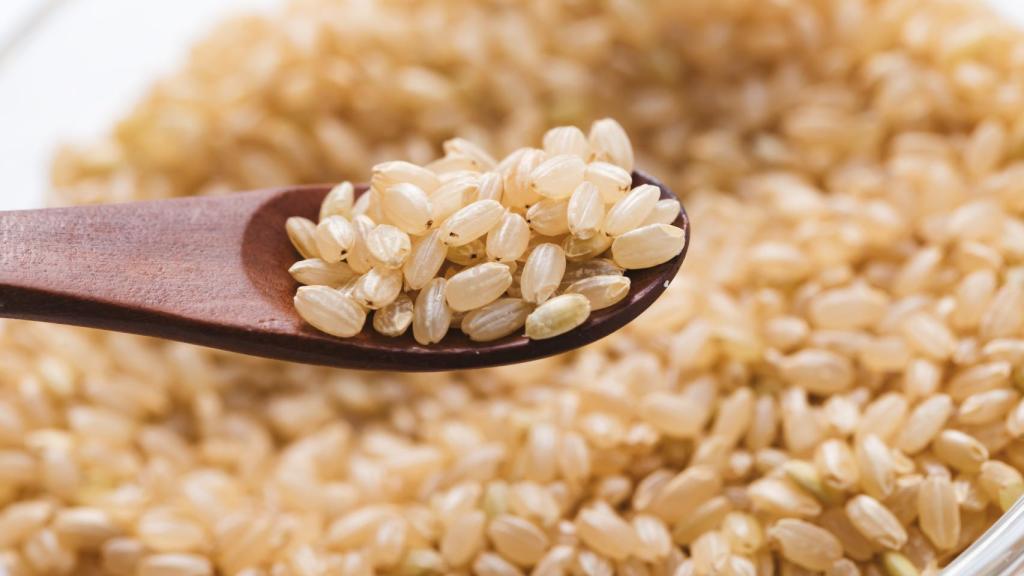 Trigo farro.