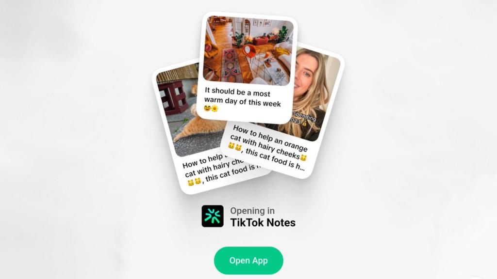 TikTok Notes