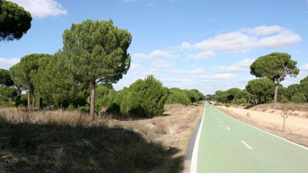 Pedrajas de San Esteban