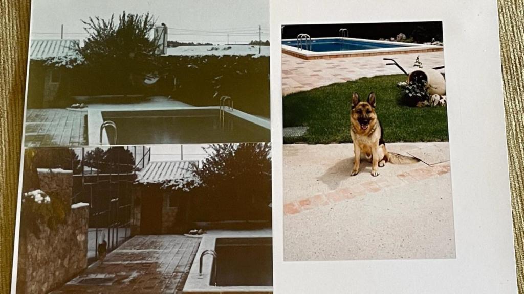 El estado en el que se encontraba la finca, la piscina, la barbacoa y las zonas verdes antes de la llegada de los okupas.