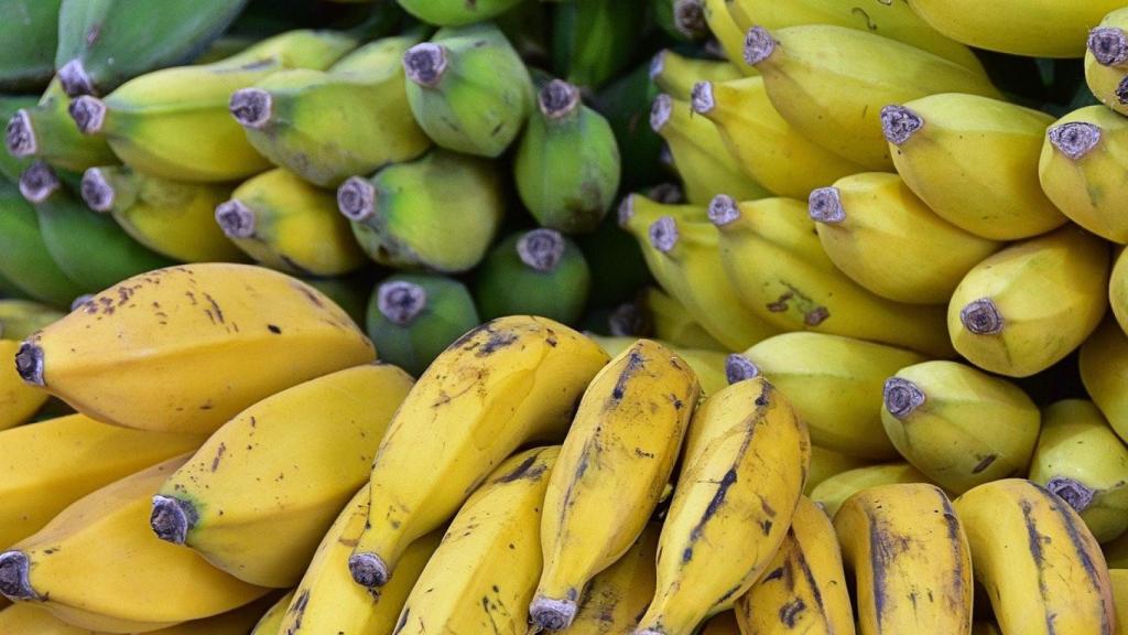 Plátanos.