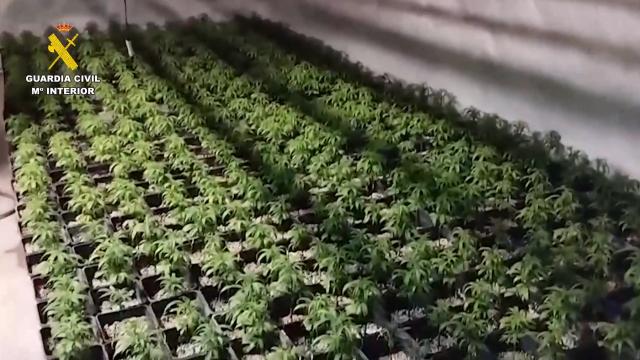 Operación antidroga en Madrid y Toledo