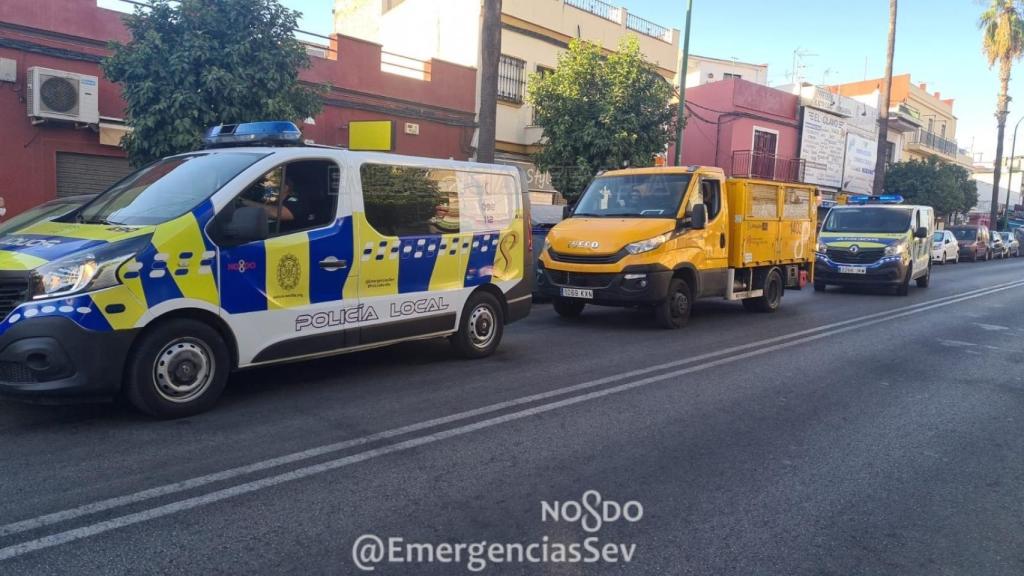 Vehículos de la Policía Local y de Lipasam, en una imagen de archivo.