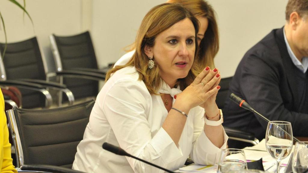 María José Catalá, en la Junta de Gobierno de la FEMP. EE