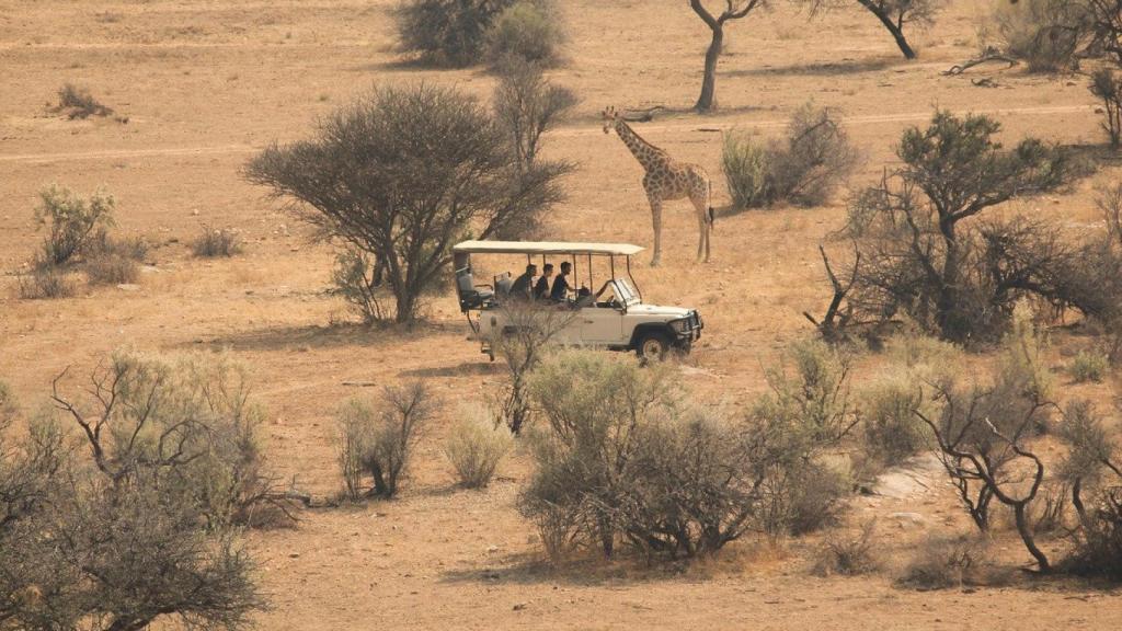 En la Reserva Privada Sabi Sands podrás escuchar el rugido de los leones y el galopar de las cebras