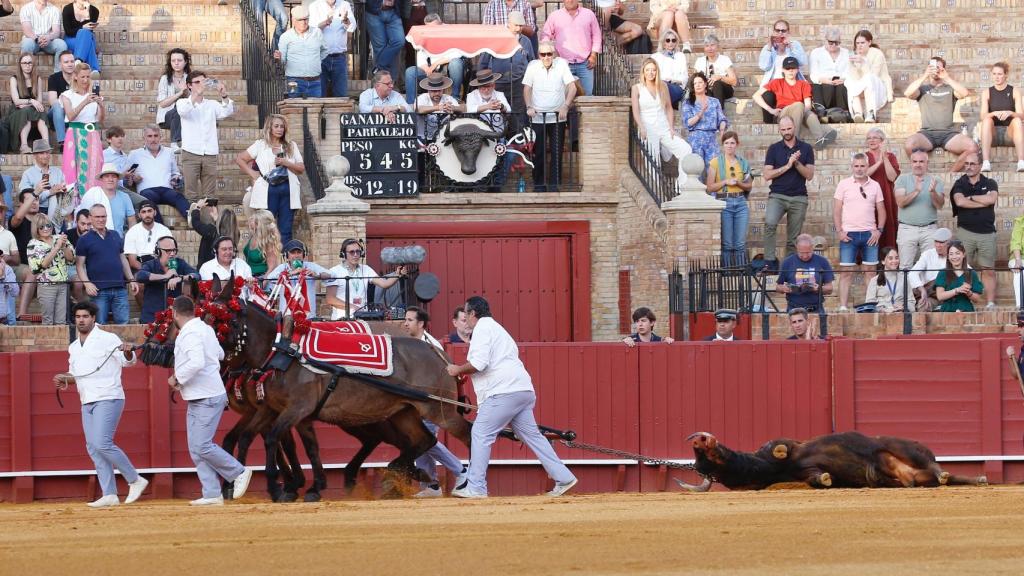 EL toro 'Oloroso' premiado con la vuelta al ruedo.