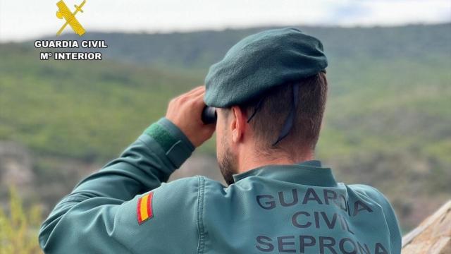 Un agente del SEPRONA.