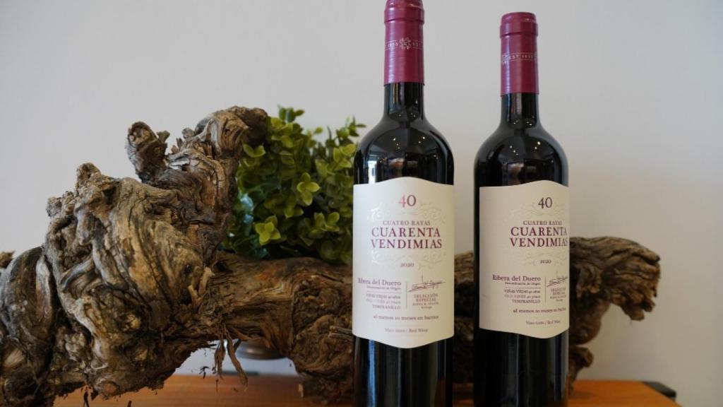 3_2CUARENTA-VENDIMIAS-RIBERA